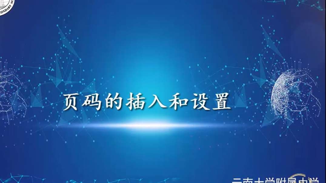 插入和设置页码